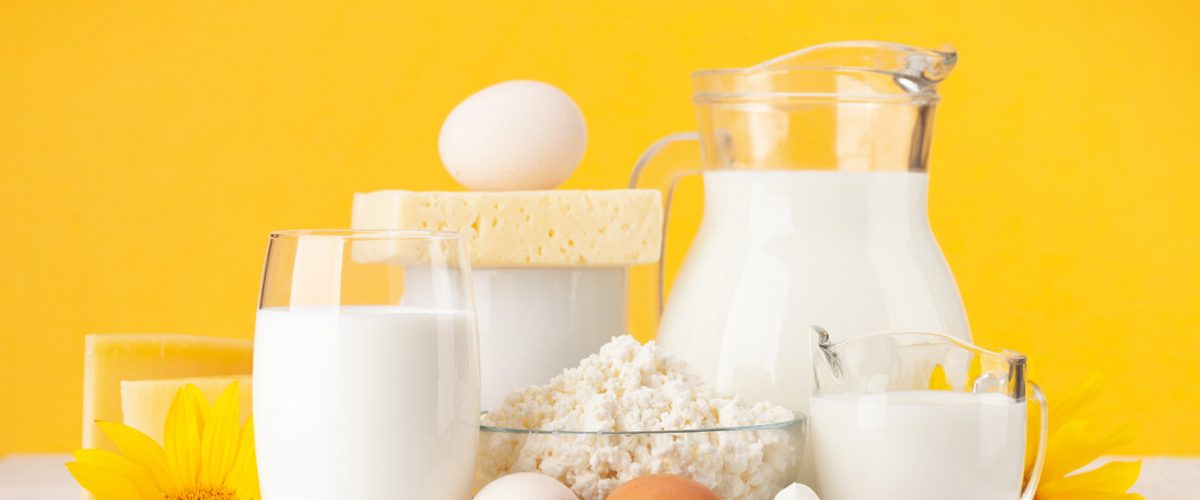 Various dairy products. Milk, cheese, cottage, sour cream. In front of yellow background