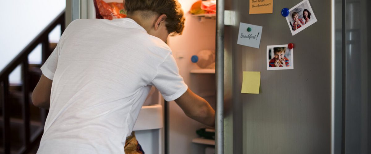 Young caucasian  boy open the fridge looking for something to eat
